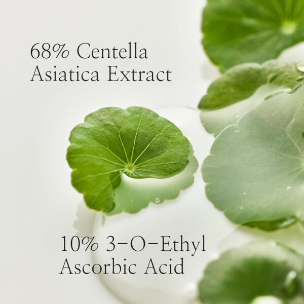 Beauty of Joseon Light On Serum Vitamin C Centella Dark Spot Fine Lines Pigmentation Correcting Serum, Hydrating Moisturizer, Korean Skin Care for Men and Women, 30ml, 1 fl.oz - Image 3