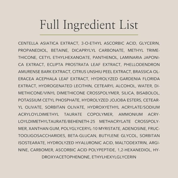 Beauty of Joseon Light On Serum Vitamin C Centella Dark Spot Fine Lines Pigmentation Correcting Serum, Hydrating Moisturizer, Korean Skin Care for Men and Women, 30ml, 1 fl.oz - Image 7