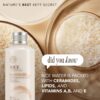The Face Shop Rice Ceramide Moisturizing Emulsion - Rice Extract - Lightweight Face Moisturizer - Brightening - Hydrating Targets Dryness - Strengthens Skin Barrier - Face Lotion - Korean Skin Care - Image 6